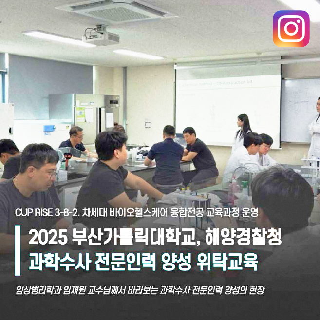 (부산가톨릭대학교)